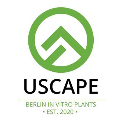 USCAPE – Berlin In Vitro Plants